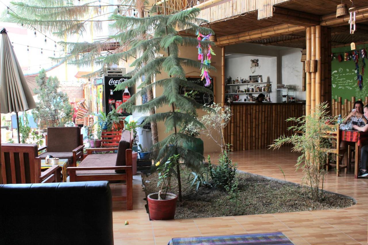 Hostel La Casa De Bamboo