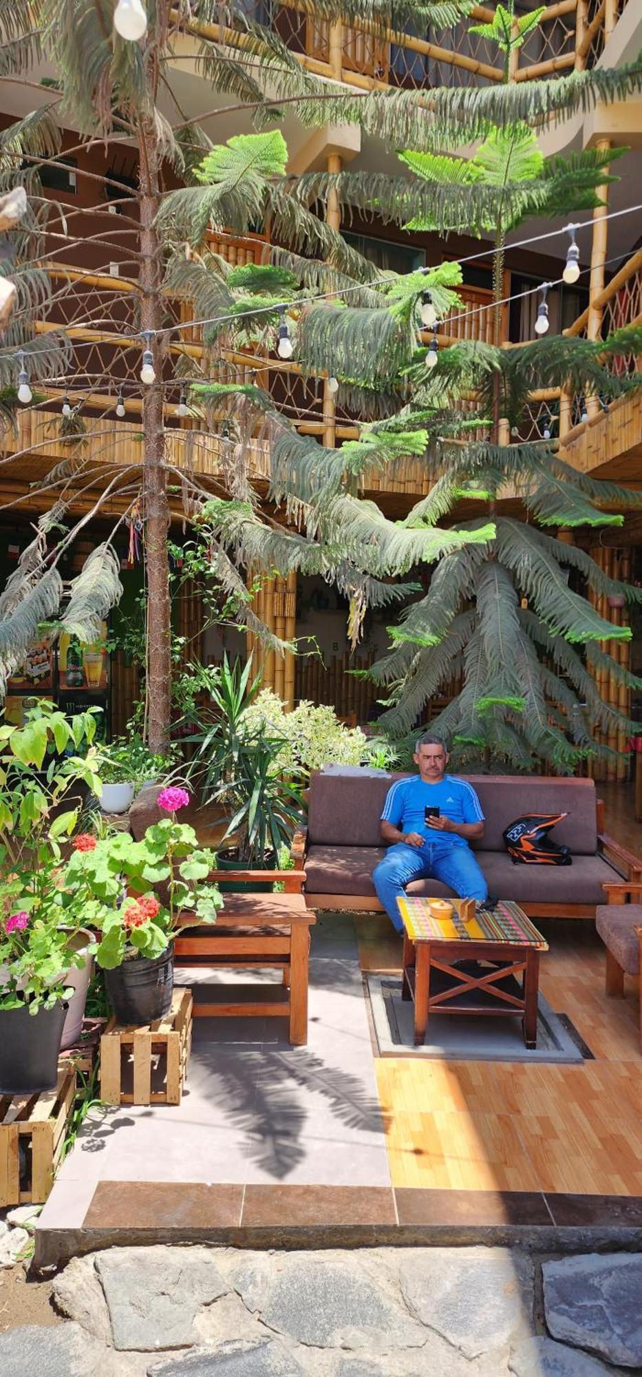 La Casa De Bamboo Hostel Ica