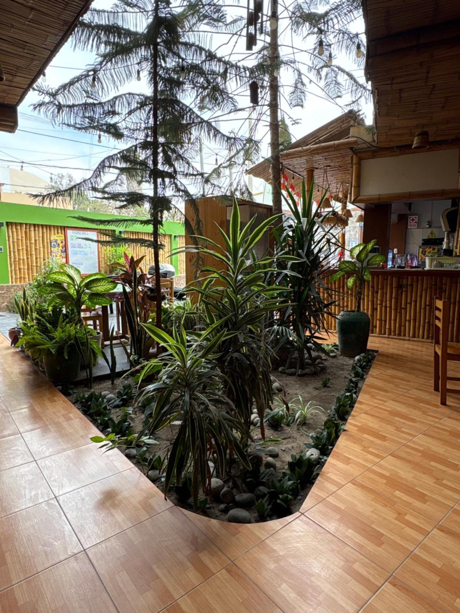 Hostel La Casa De Bamboo *