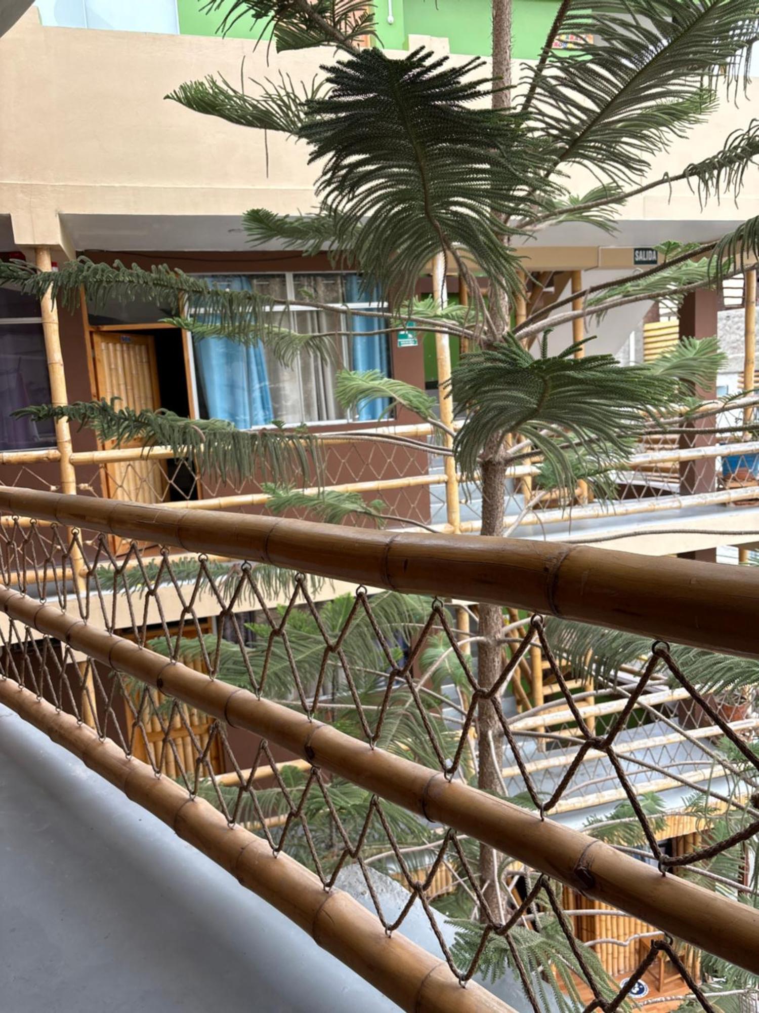 La Casa De Bamboo